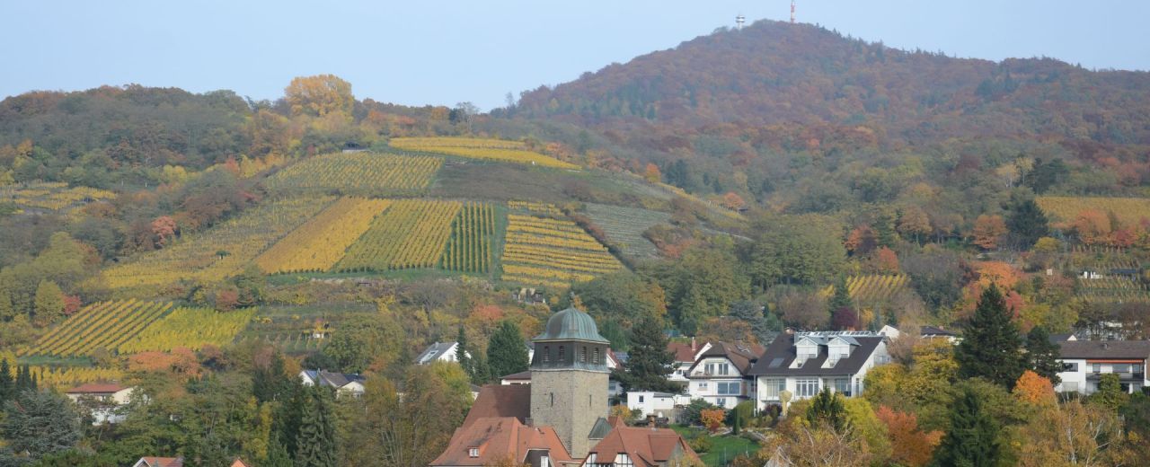 Weinlage Zwingenberger Alte Burg